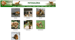 Desktop Screenshot of galeria.vizsla.sk