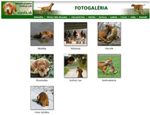 Tablet Screenshot of galeria.vizsla.sk